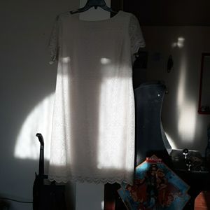 Cream dress nwot